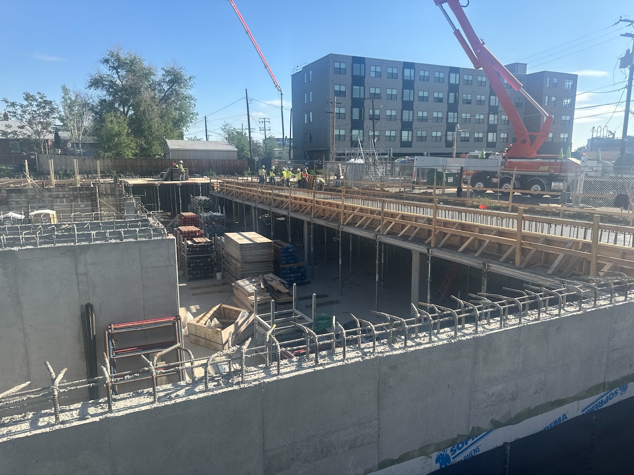 Treeline Apartments image 4